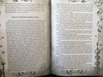 Парацельс: Магический архидокс