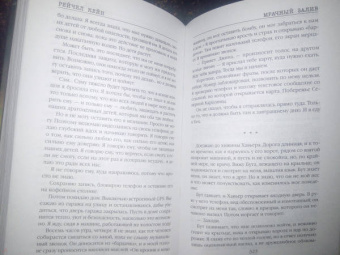 Рейчел Кейн: Мрачный залив