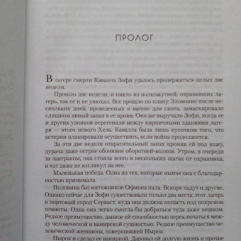 Сара Маас: Город Полумесяца. Дом Неба и Дыхания