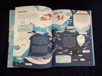 Амандин Тома: Через океаны