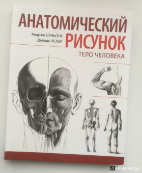 Суньоги, Фехер: Анатомический рисунок. Тело человека