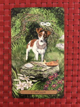 Мюллер, Курара: Таро магических собак + Таро Театр кукол (6080)