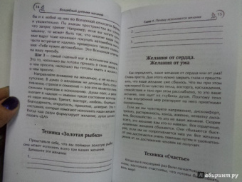 Маргарита Мураховская: Волшебный дневник желаний. Лучшие техники исполнения желаний
