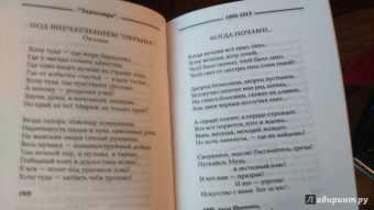 Игорь Северянин: Избранное. 1903-1915 гг