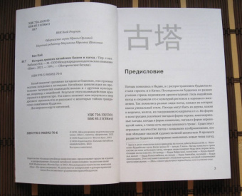 Кай Ван: История древних китайских башен и пагод