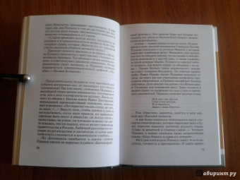 Владимир Новиков: Пушкин