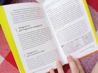 Ирина Лиленко-Карелина: Краудфандинг. Как найти деньги для вашей идеи. Полное руководство с примерами
