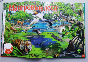 Жизнь животных. Реки и озера