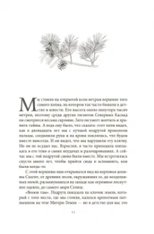 Моника Кроссон: Дикая Волшебная Душа. Раскрепости свой дух и соединись с мудростью природы