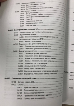 Джон Эриксон: Хакинг. Искусство эксплойта