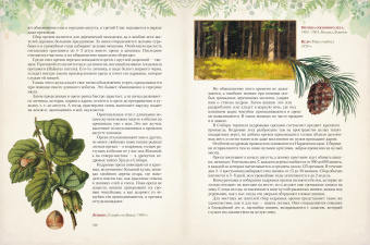 Николай Золотницкий: Дары русского леса. Грибы, ягоды и целительные растения