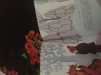 Софья Прокофьева: Не буду просить прощения