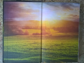 Саша Ким: Девочка ректора