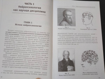 Татьяна Визель: Основы нейропсихологии. Теория и практика
