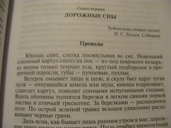 Майя Кучерская: Лесков. Прозёванный гений