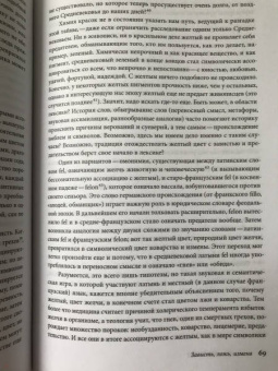 Мишель Пастуро: Желтый. История цвета