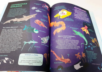 Амандин Тома: Через океаны