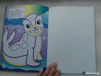 Подводный мир