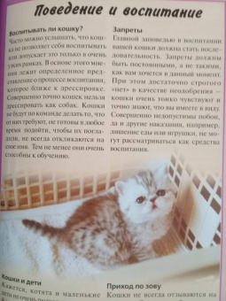 Доминик Кизельбах: Персидская кошка. Содержание и уход