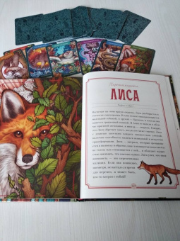 Майя Толл: Магический бестиарий. Вдохновляющие послания и ритуалы от 36 волшебных животных 36 карт и книга