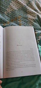 Ольга Грон: Попала - не пропала, или Мой похититель из будущего