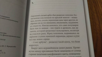 Влада Урошевич: Ищите ворона...