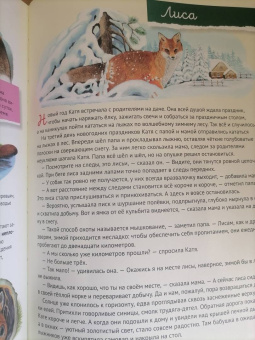 Марина Тиходеева: Кто где живёт? Звери и птицы леса
