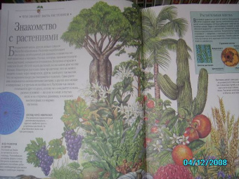 Большая энциклопедия эрудита