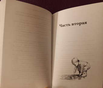 Александра Николаенко: Небесный почтальон Федя Булкин