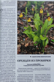 Журнал "Наука и жизнь" № 4. 2021