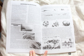 Джек Хамм: Как рисовать пейзаж