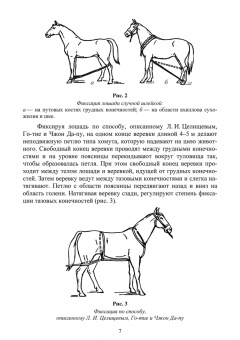 Анникова, Козлов: Клиническое исследование животных. Учебное пособие для СПО