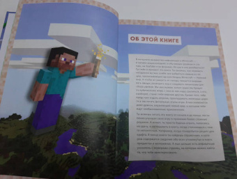 Рихард Айзенменгер: Обустройство в мире Minecraft. Неофициальное руководство для игроков