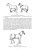 Анникова, Козлов: Клиническое исследование животных. Учебное пособие для СПО