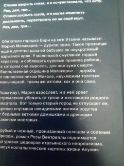 Роза Вентрелла: История одной семьи