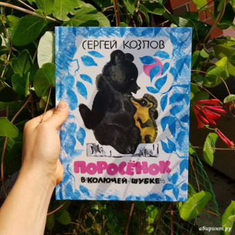Сергей Козлов: Поросёнок в колючей шубке