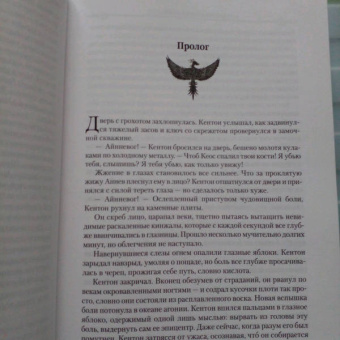 Джастин Колл: Молчаливые боги. Книга 2. Мастер артефактов