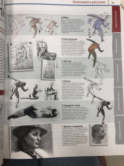 ImagineFX: Анатомия. Создание реалистичных людей и животных + мастер-классы по QR-коду