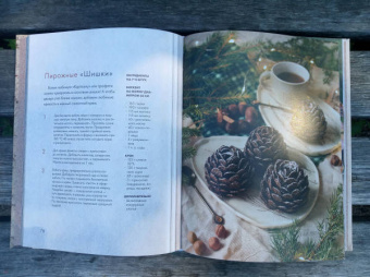 Елена Тын: Истории волшебного леса. Рецепты, рассказы, рукоделие и чудесные поделки, вдохновлённые природой