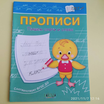 Светлана Чиркова: Прописи. Пишем слоги и слова. ФГОС ДО