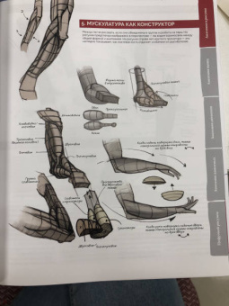 ImagineFX: Анатомия. Создание реалистичных людей и животных + мастер-классы по QR-коду
