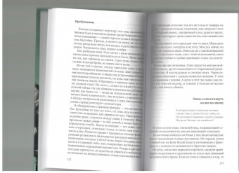 Роберт Музиль: Жизнь без свойств. Новеллы, эссе, дневники. Том 4