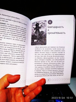 Дебора Блейк: Повседневный оракул ведьмы (40 карт) (3679)