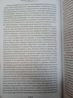 Кларк Смит: Вино из Атлантиды. Фантазии, кошмары и миражи