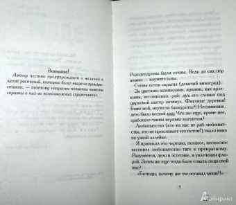 Илья Бояшов: Эдем
