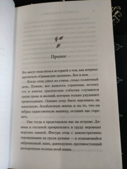 Эшли Шумахер: Мгновения Амелии