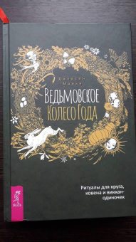 Джейсон Манки: Ведьмовское Колесо Года. Ритуалы для круга