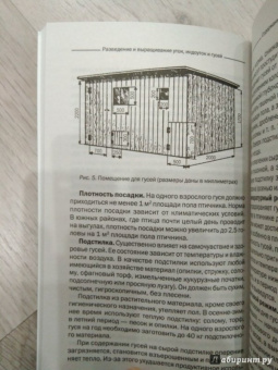 Разведение и выращивание уток, индоуток и гусей обычных пород и бройлеров