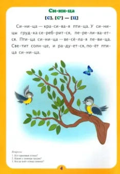 Рассказы о птичках. Слоговой тренажёр. ФГОС ДО