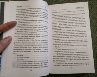 Лэй Ми: Профайлер